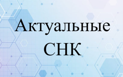 Актуальные СНК