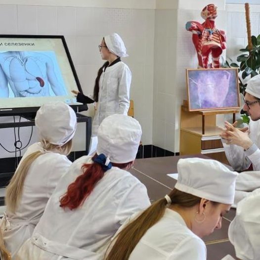 Анатомия иммунитета