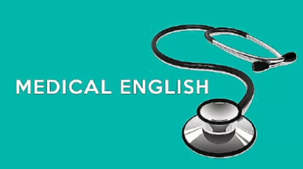 Заседание лингвистического кружка « English for doctors »